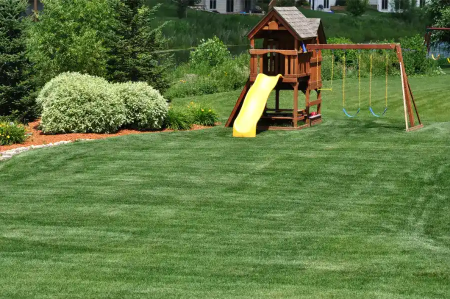 Playground Installation