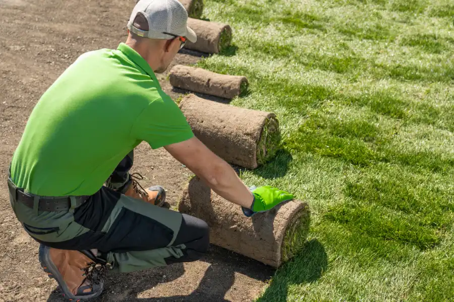 Maintenance Tips for Playground Turf Padding Longevity Bay Shore, NY